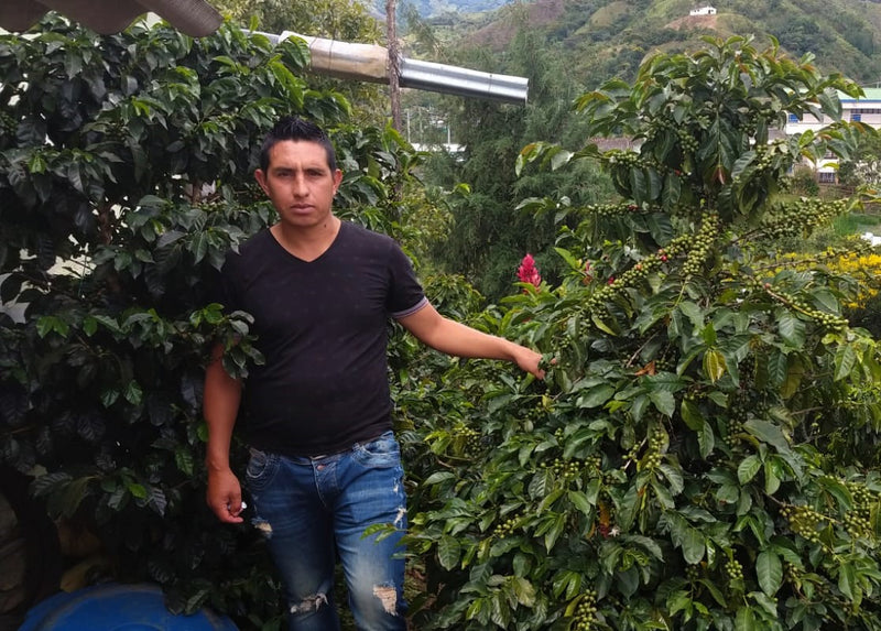 Colombia Narino Los Ingas Honey - *51904* - 27107 - 70.3 kg GrainPro Bags - SPOT RCWHSE