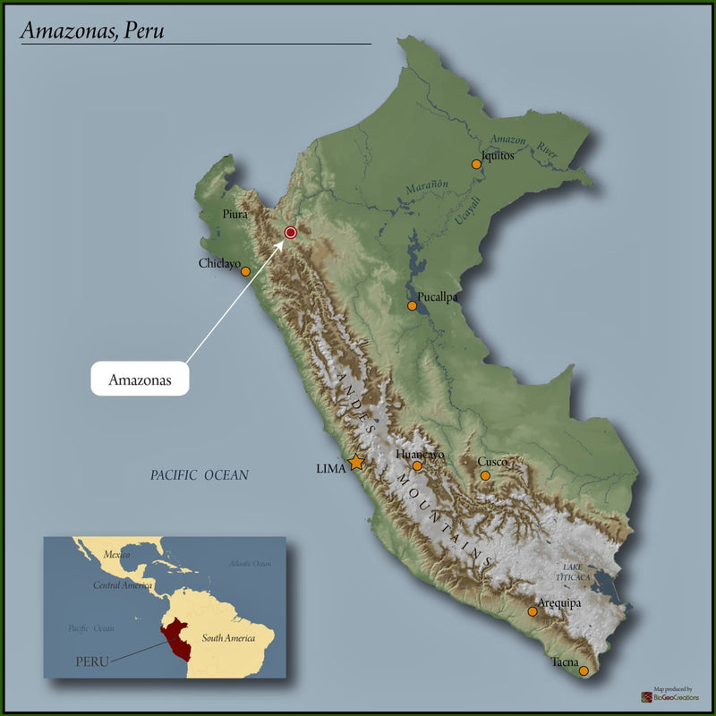 PERU FT-FLO ORGANIC AMAZONAS JUMARP - *50522* - 24886 - Ecotact Bags - SPOT RCWHSE