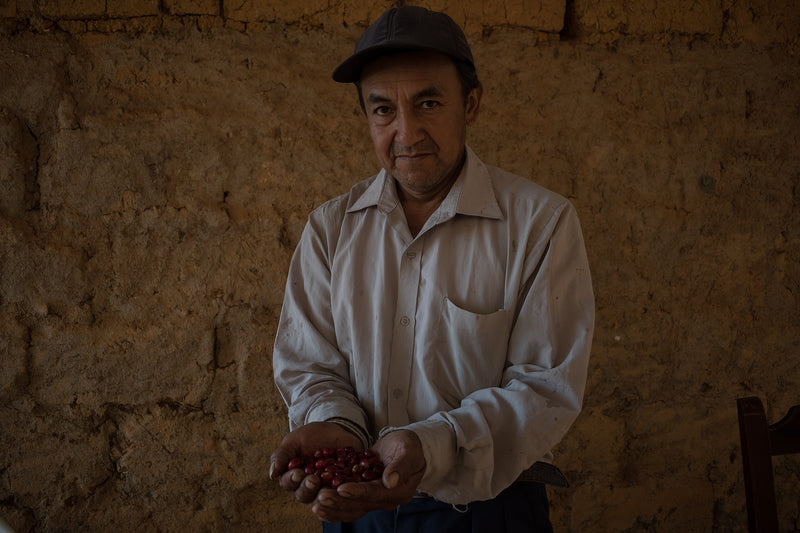 Ecuador Loja Angel Capa - *51756* - 25439 - 69.0 kg GrainPro Bags - SPOT RCWHSE