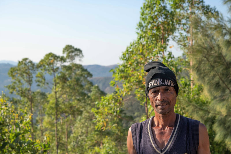 TIMOR LESTE FARMGATE ORGANIC ERMERA HATUHEI - 30183 - 30.0 kg GrainPro Bags - SPOT RCWHSE