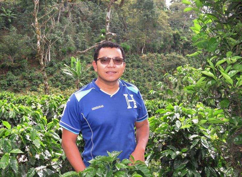 HONDURAS FT ORGANIC ARNOLDO CRISTOBAL HONEY - *50968* - 25375 - GrainPro Bags - SPOT RCWHSE