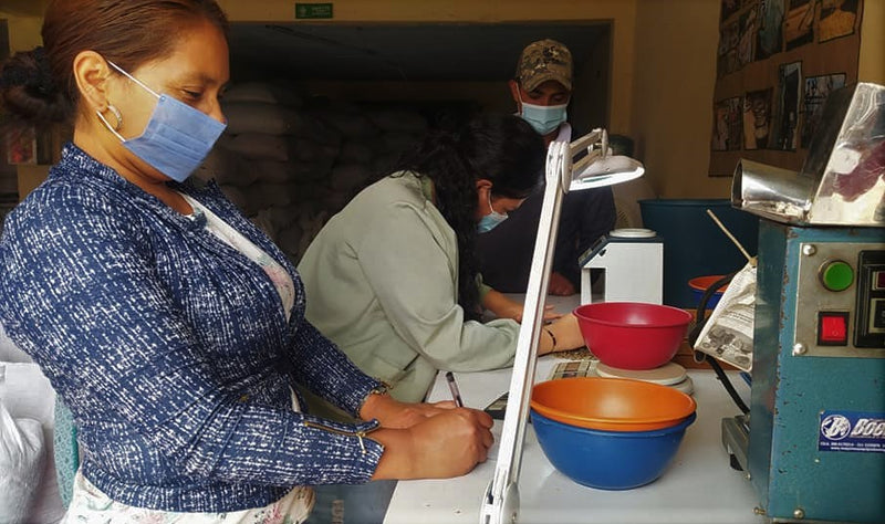 COLOMBIA FT ORGANIC TOLIMA LA CUMBRE - *51624* - 25634 - 69.9 kg GrainPro Bags - SPOT RCWHSE