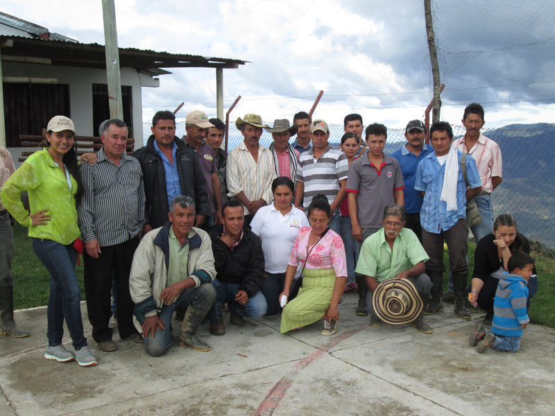 COLOMBIA FT ORGANIC TOLIMA LA CUMBRE - *51624* - 25634 - 69.9 kg GrainPro Bags - SPOT RCWHSE