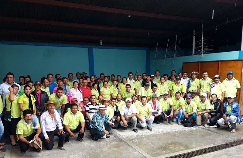 COLOMBIA ORGANIC TOLIMA ASPRASAR - 28570-2 - 70.0 kg GrainPro Bags - SPOT SEAFORTH