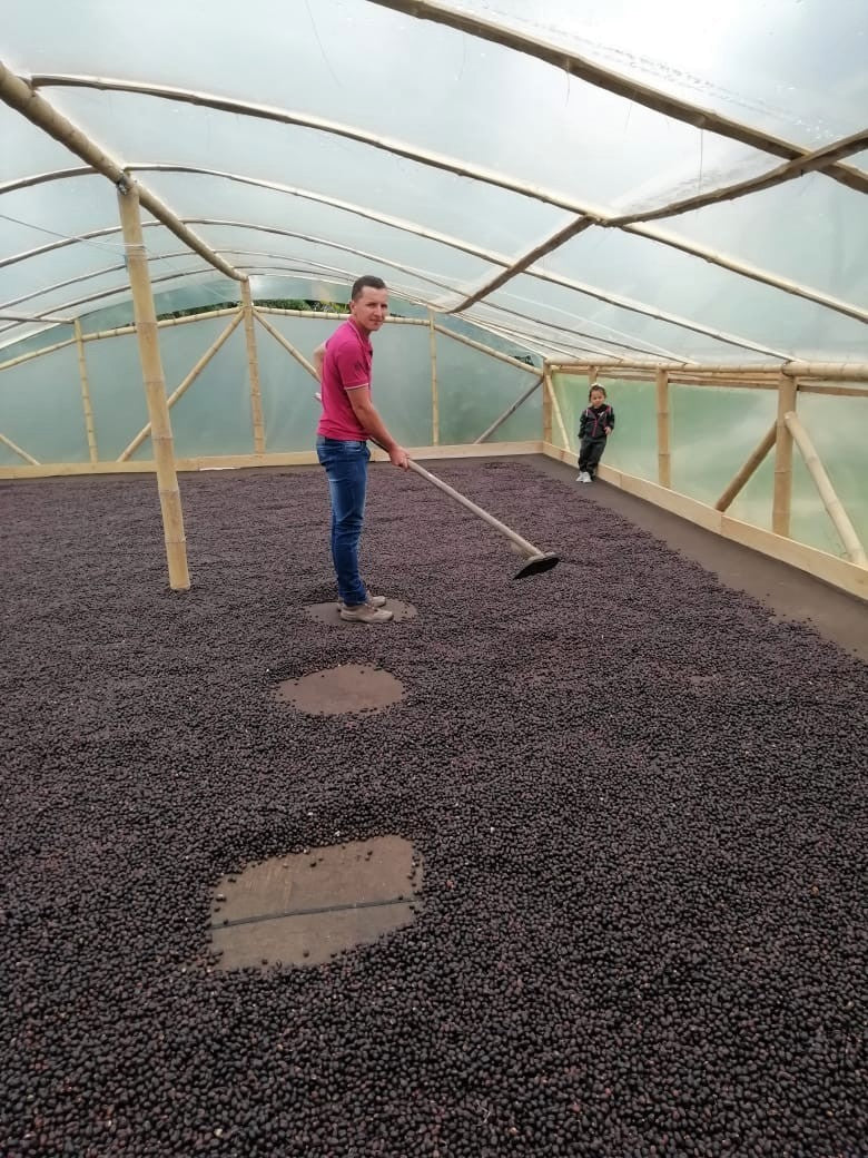 Colombia Huila Bonanza Natural - *48740* - 25881 - 70.4 kg GrainPro Bags - SPOT RCWHSE