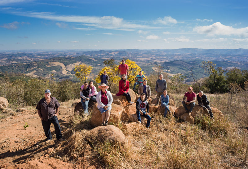 Brazil FAF Caconde Serra Do Cigano Natural - 28365 - 60.0 kg GrainPro Bags - SPOT RCWHSE