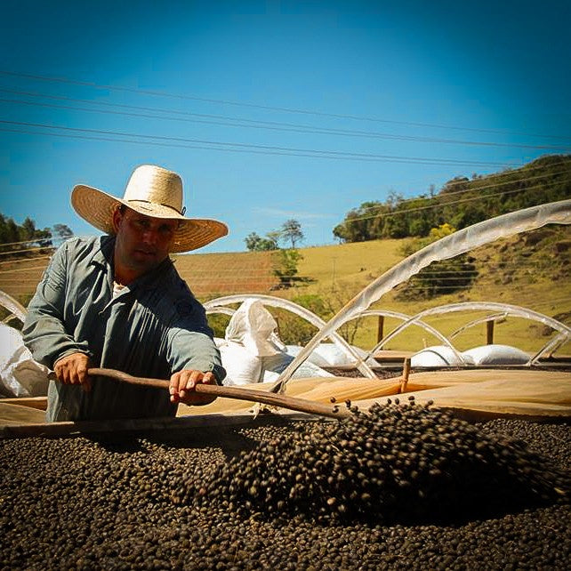Brazil FAF Caconde Serra Do Cigano Natural - 28365 - 60.0 kg GrainPro Bags - SPOT RCWHSE