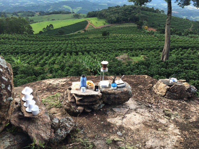 Brazil FAF Caconde Serra Do Cigano Natural - 28365 - 60.0 kg GrainPro Bags - SPOT RCWHSE