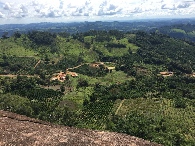 Brazil FAF Caconde Serra Do Cigano Natural - 28365 - 60.0 kg GrainPro Bags - SPOT RCWHSE