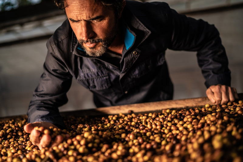 Brazil FAF Caparaó Clayton Barrossa Monteiro Natural - 28370 - 60.0 kg GrainPro Bags - SPOT RCWHSE