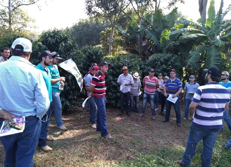 BRAZIL FT-FLO ORGANIC ACAFEG SANTA CLARA 15+ - 28251-3 - Videplast Bags - SPOT COSEATAC