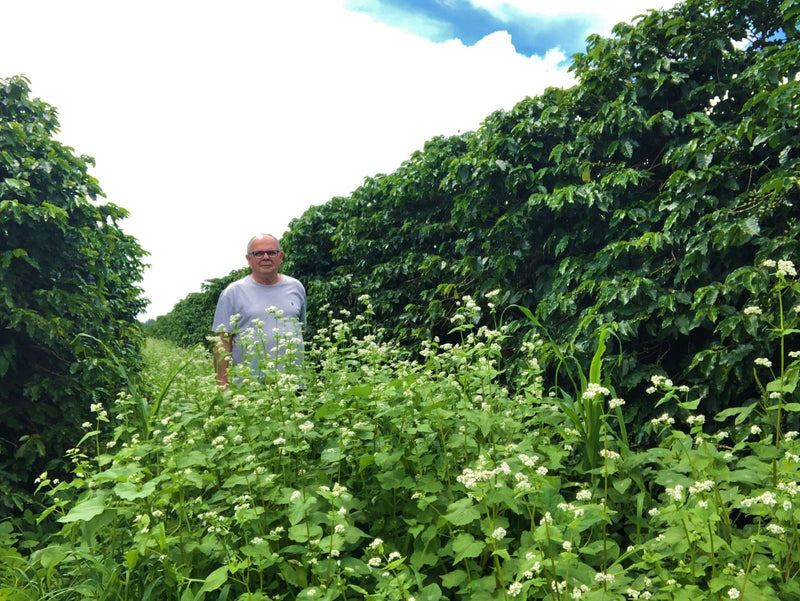 BRAZIL ORGANIC FAZENDA 5 ESTRELAS NATURAL 14+  - 29741 - Videplast Bags - SPOT RCWHSE