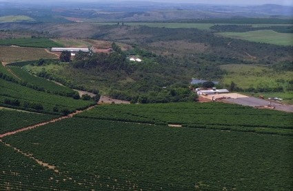 BRAZIL ORGANIC FAZENDA 5 ESTRELAS NATURAL 14+  - 29741 - Videplast Bags - SPOT RCWHSE
