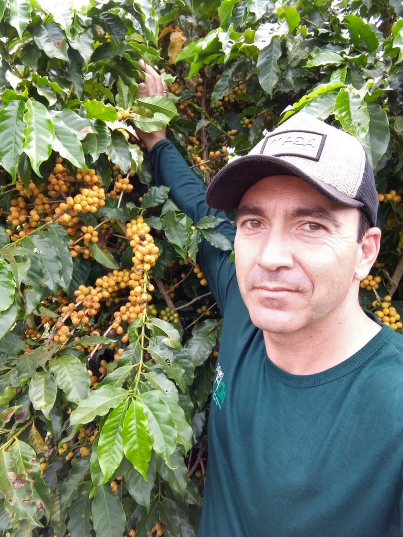 BRAZIL ORGANIC MOGIANA FAZENDA SAO FRANCISCO 15+ - *51199* - 25947-3 - Videplast Bags - SPOT COSEATAC