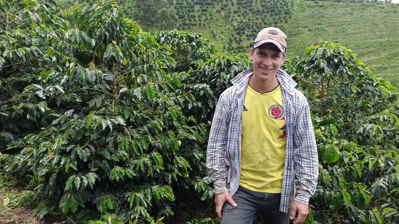 Colombia Huila Bruselas - 28819 - 69.8 kg GrainPro Bags - SPOT RCWHSE