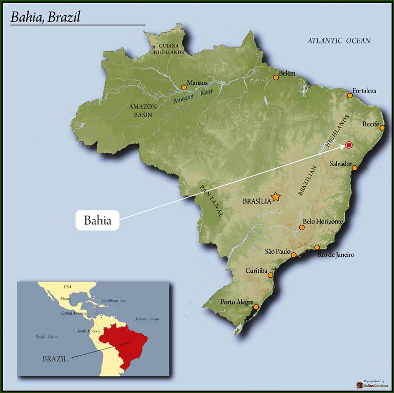 BRAZIL ORGANIC BIODYNAMIC CHAPADA DIAMANTINA PULPED NATURAL ACAUAN VARIETAL - *48375* - 25966 - 60.0 kg Videplast Bags - SPOT RCWHSE