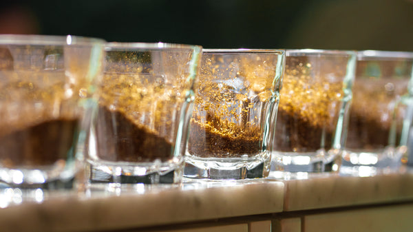 coffee cupping