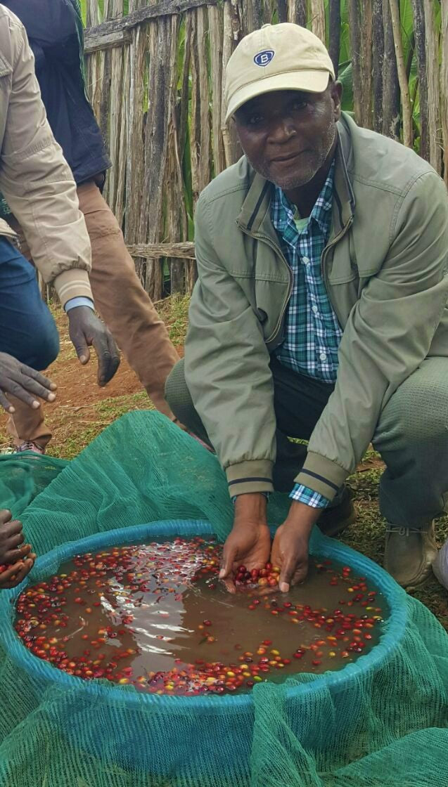 Ethiopia Farmgate COE National Select Jury Sidama 1 Natural Bekele Kechara Loke - 29938 - GrainPro Bags - SPOT RCWHSE