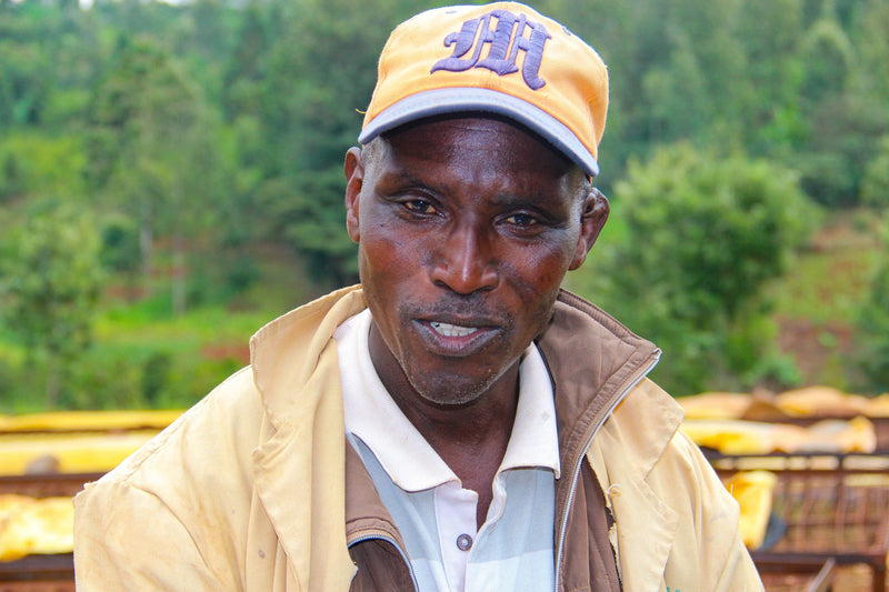 Kenya FT Nyeri Othaya Ichamama Red Cherry Program AA - 18TY0019 - 28208 - GrainPro Bags - SPOT SEAFORTH