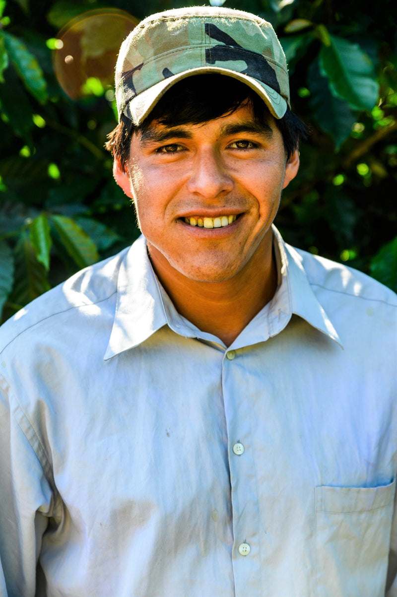 Bolivia Caranavi Agricafe Sol De La Manana Natural Yellow Caturra - 31408 - 60.0 kg GrainPro Bags - SPOT RCWHSE