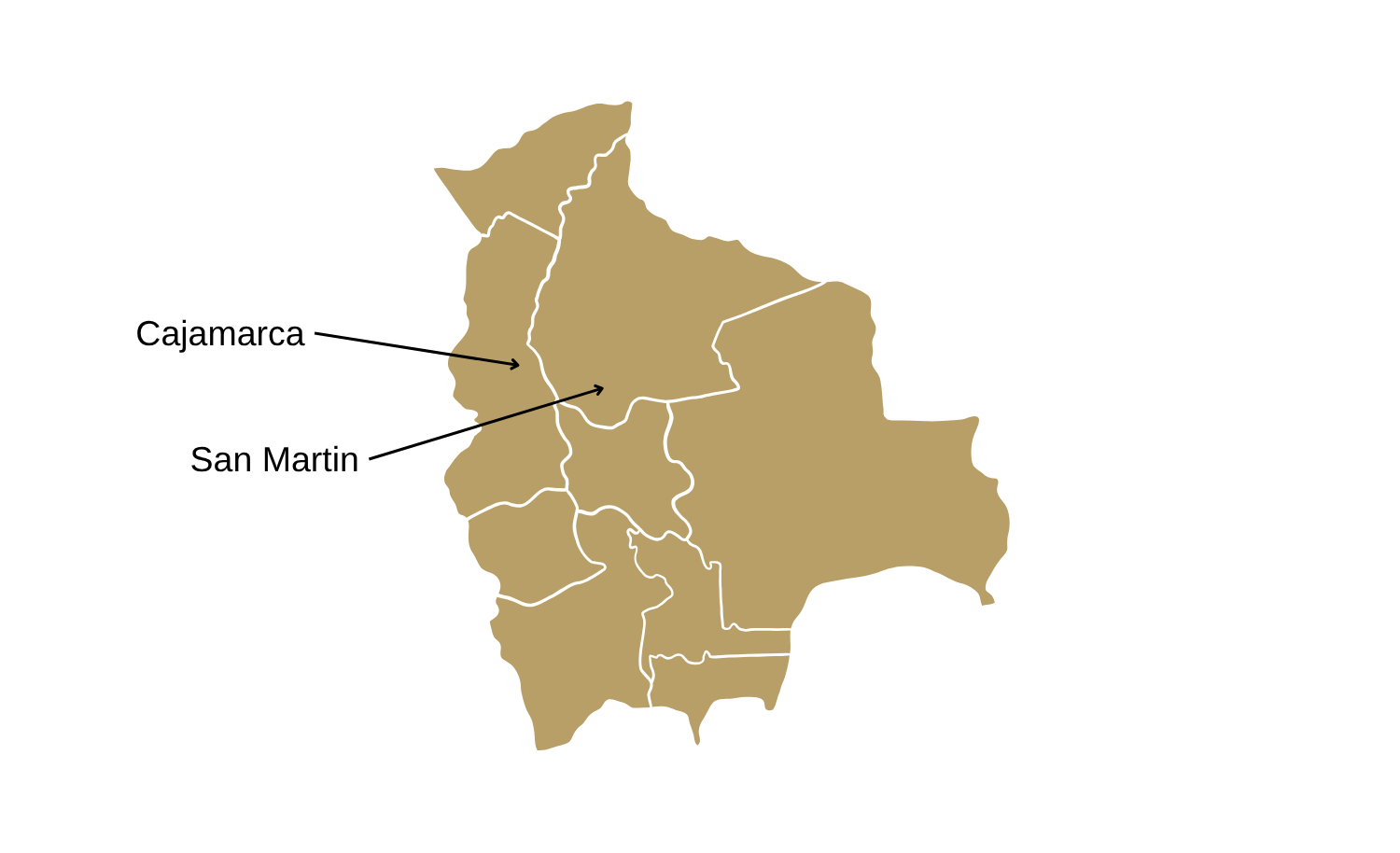 Bolivia coffee growing regions