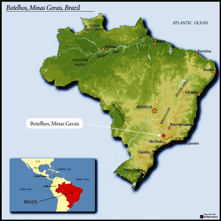 Brazil Fazenda Sertaozinho Pulped Natural Yellow Bourbon 16+ - *50121* - 25978-1 - Videplast Bags - SPOT SEAFORTH