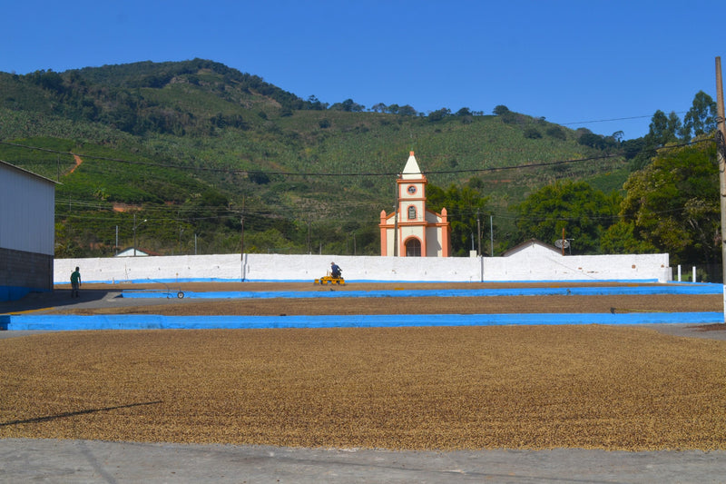 Brazil Beneficio Pedra Blanca Pulped Natural Yellow Catucai 2/3 16+ - 32439 - Videplast Bags - SPOT RCWHSE