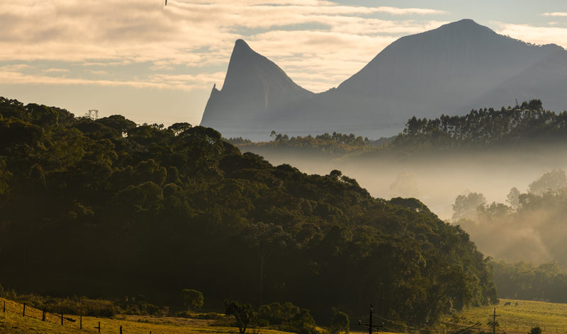 Brazil Farmgate Espirito Santo Eliezer Jose Calvi Pulped Natural Catucai 15+ - 33106 - GrainPro Bags - SPOT RCWHSE