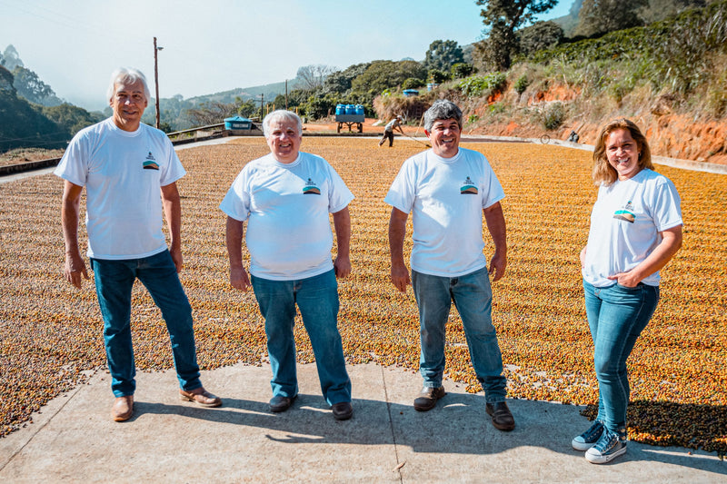 Brazil Sitio da Torre Natural Yellow Bourbon/Catucai Peaberry - 33178 - Videplast Bags - SPOT RCWHSE