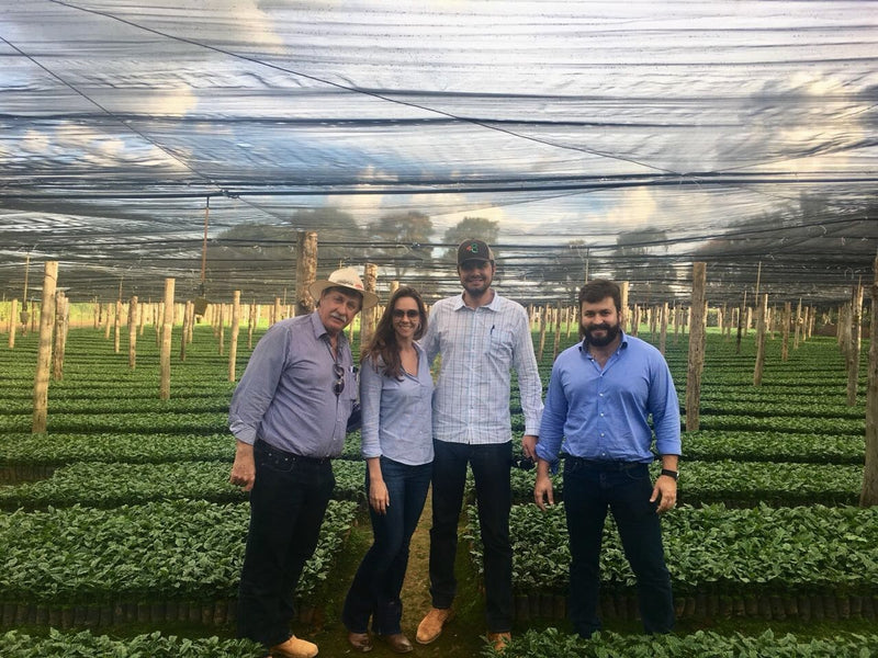 Brazil RFA-IP Fazenda Rio Brilhante Natural 16+ - *50116* - 25950 - Videplast Bags - SPOT RCWHSE