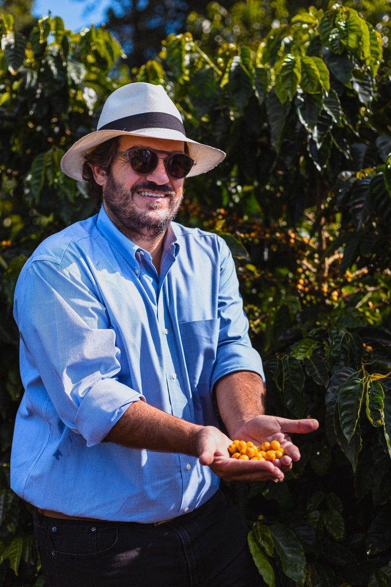 Brazil Santuario Sul Natural Fermented Sudan Rume 2/3 15+ - 32473 - Videplast Bags - SPOT RCWHSE