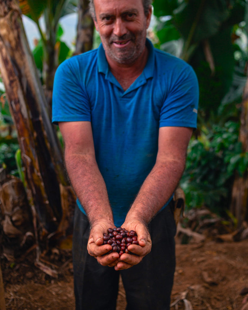 Brazil Sitio Santa Catarina Natural Fermented Red Catuai 2/3 15+ - 32475 - Videplast Bags - SPOT RCWHSE
