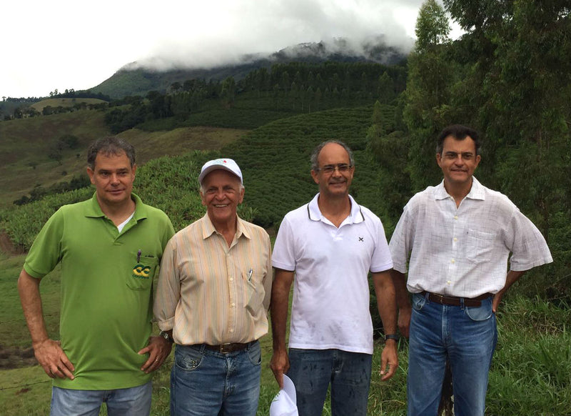 Brazil Mantiqueira de Minas Pulped Natural Serra Das Tres Barras Yellow Catucai - *49005* - 25957 - 60.0 kg Videplast Bags - SPOT RCWHSE