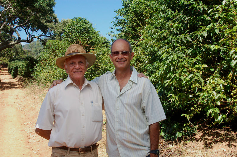 Brazil Mantiqueira de Minas Pulped Natural Serra Das Tres Barras Yellow Catucai - *49005* - 25957 - 60.0 kg Videplast Bags - SPOT RCWHSE