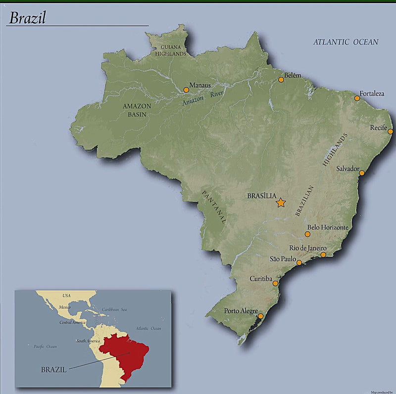 Brazil SS FC 14/16 - *51840H* - 26614 - 60.0 kg Bags - SPOT DUPUYHOU