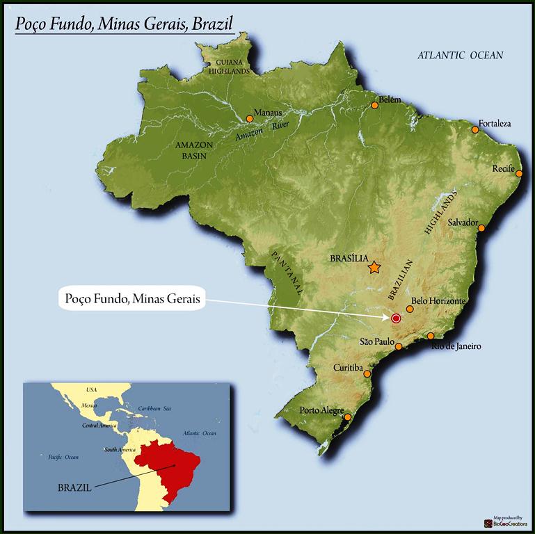 BRAZIL FT ORGANIC SUL DE MINAS POCO FUNDO COOPFAM 15+ - *48049* - 25294 - 60.0 kg GrainPro Bags - SPOT RCWHSE