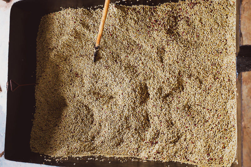 Burundi Gaharo Washed 15+ - Lot 1*51954* - 27115-3 - GrainPro Bags - SPOT COSEATAC
