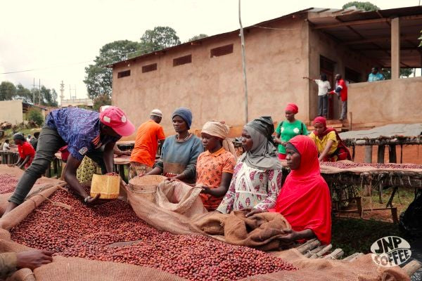 Burundi Ngozi Bavyeyi IV Natural - *51656* - 25643 - GrainPro Bags - SPOT RCWHSE