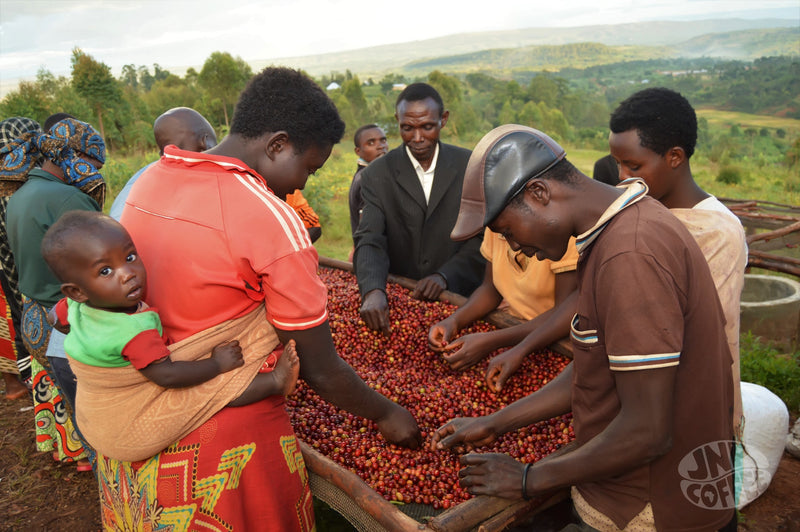 Burundi Ubuto-Karuzi Washed - *51652* - 25645 - GrainPro Bags - SPOT RCWHSE