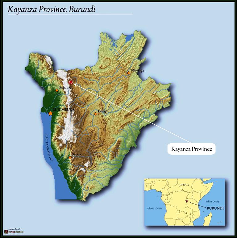 Burundi Kayanza Incuti Washed 15+ - *48102H* - 25207 - GrainPro Bags - SPOT DUPUYHOU