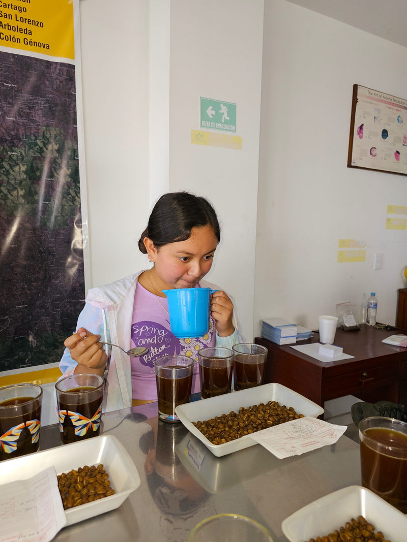 COLOMBIA FT-USA ORGANIC NARIÑO TERRA WOMEN'S GROUP - 33515 - 69.9 kg GrainPro Bags - SPOT COMIDWEST