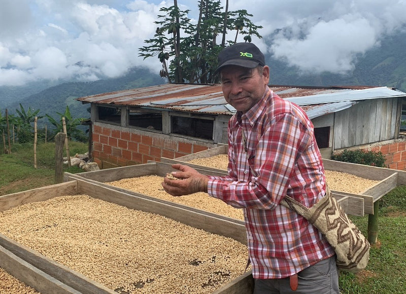 COLOMBIA FT-FLO ORGANIC SIERRA NEVADA COOCAFE - *51672* - 24470 - 70.1 kg Bags - SPOT RCWHSE