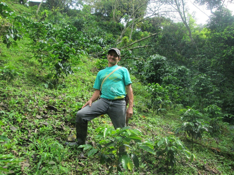 COLOMBIA FT-FLO ORGANIC SIERRA NEVADA COOCAFE - *51672* - 24470 - 70.1 kg Bags - SPOT RCWHSE