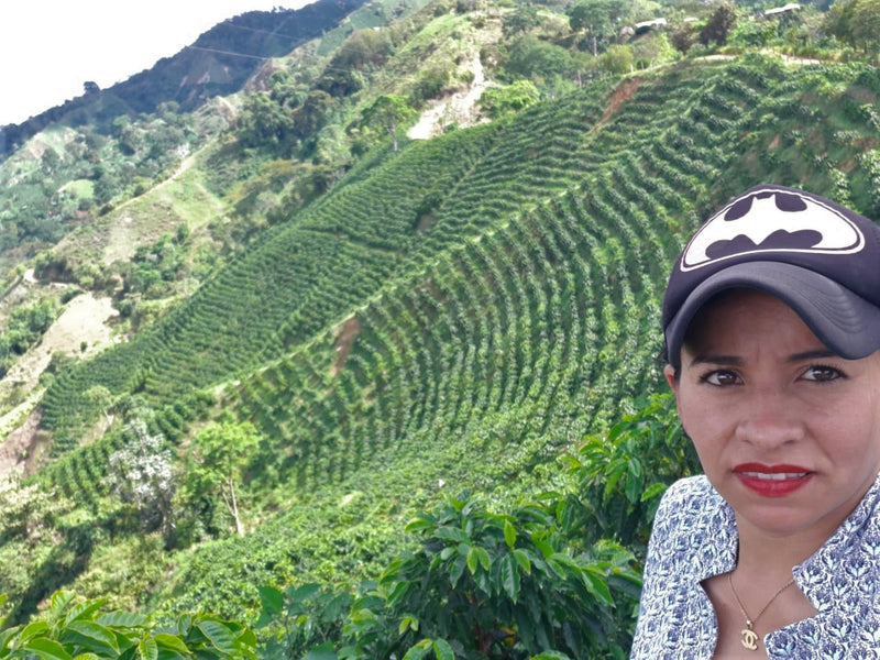 COLOMBIA FT-FLO ORGANIC TOLIMA ASPRASAR - *51589* - 25040 - GrainPro Bags - SPOT RCWHSE
