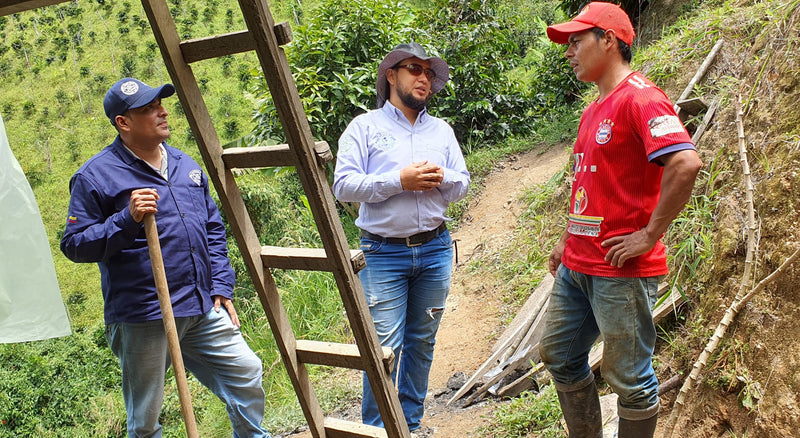 COLOMBIA FT-FLO/USA ORGANIC TOLIMA EL VOLCAN - *51676* - 25633 - GrainPro Bags - SPOT RCWHSE
