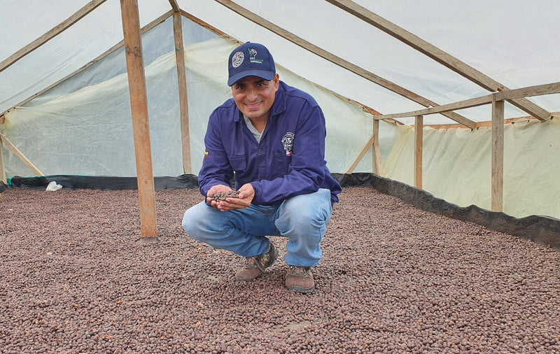 COLOMBIA FT-FLO/USA ORGANIC TOLIMA EL VOLCAN - *51676* - 25633 - GrainPro Bags - SPOT RCWHSE