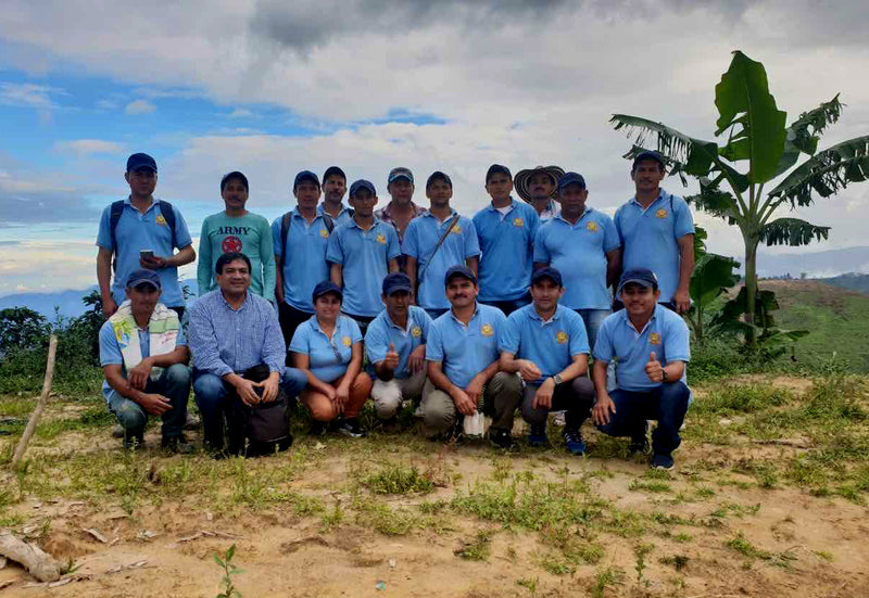 COLOMBIA FT-FLO/USA ORGANIC TOLIMA PALMASAN - *49777* - 25045 - 70.0 kg GrainPro Bags - SPOT RCWHSE