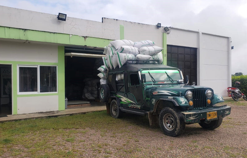 Colombia Huila Chiroso Washed - 30686 - 70.1 kg GrainPro Bags - SPOT SHANGHAI