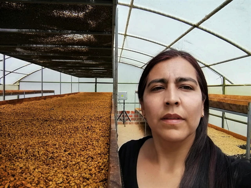 Colombia Narino El Mirador Anaerobic Honey - 29578 - 35.0 kg Box/Vacuum Pack - SPOT SHANGHAI