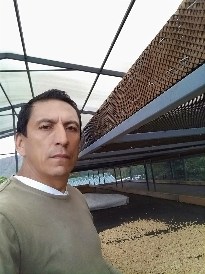 Colombia Narino La Cruz Anaerobic Washed - 29575 - 35.0 kg GrainPro Bags - SPOT SHANGHAI